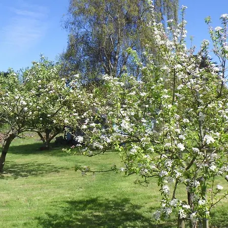 Le Clos Des Roses Fermanville